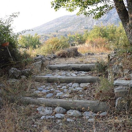 Lasinthos Eco Park Agios Georgios  Bagian luar foto