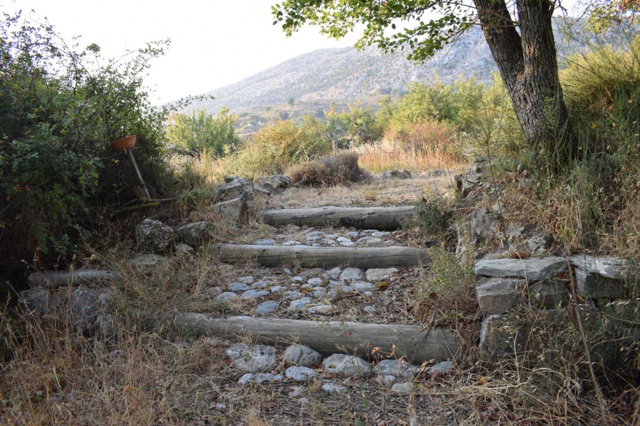 Lasinthos Eco Park Agios Georgios  Bagian luar foto