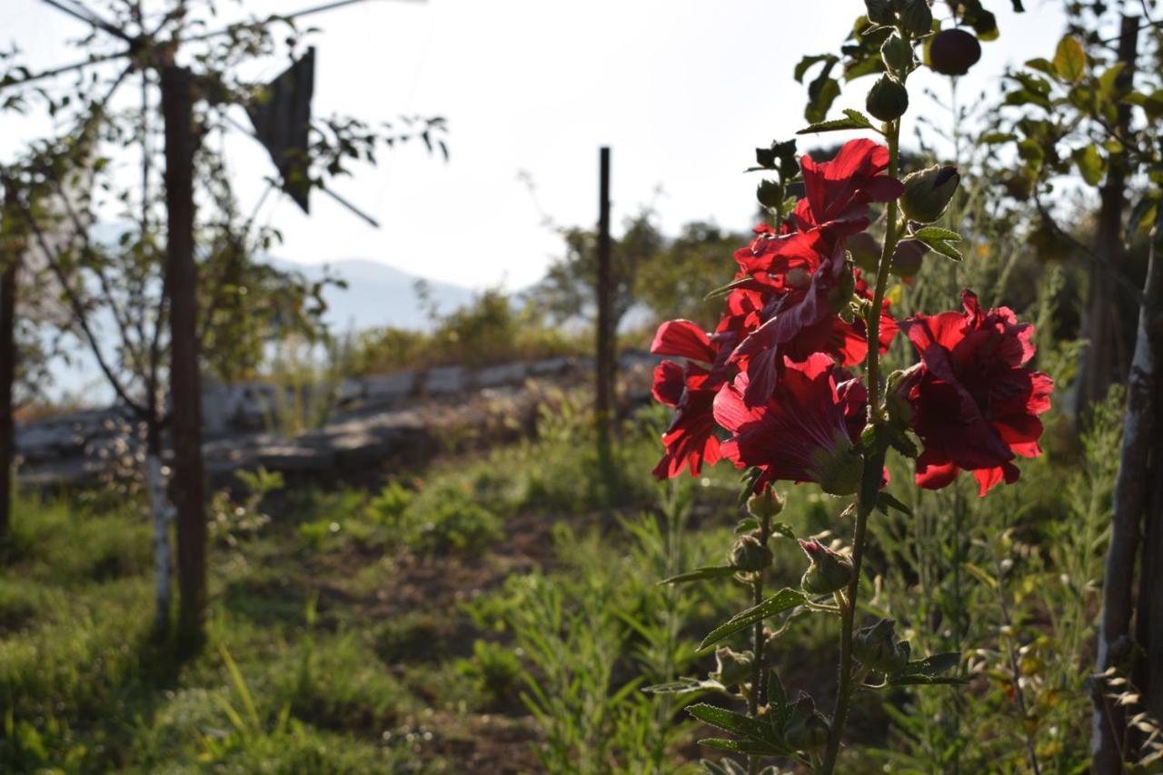 Lasinthos Eco Park Agios Georgios  Bagian luar foto