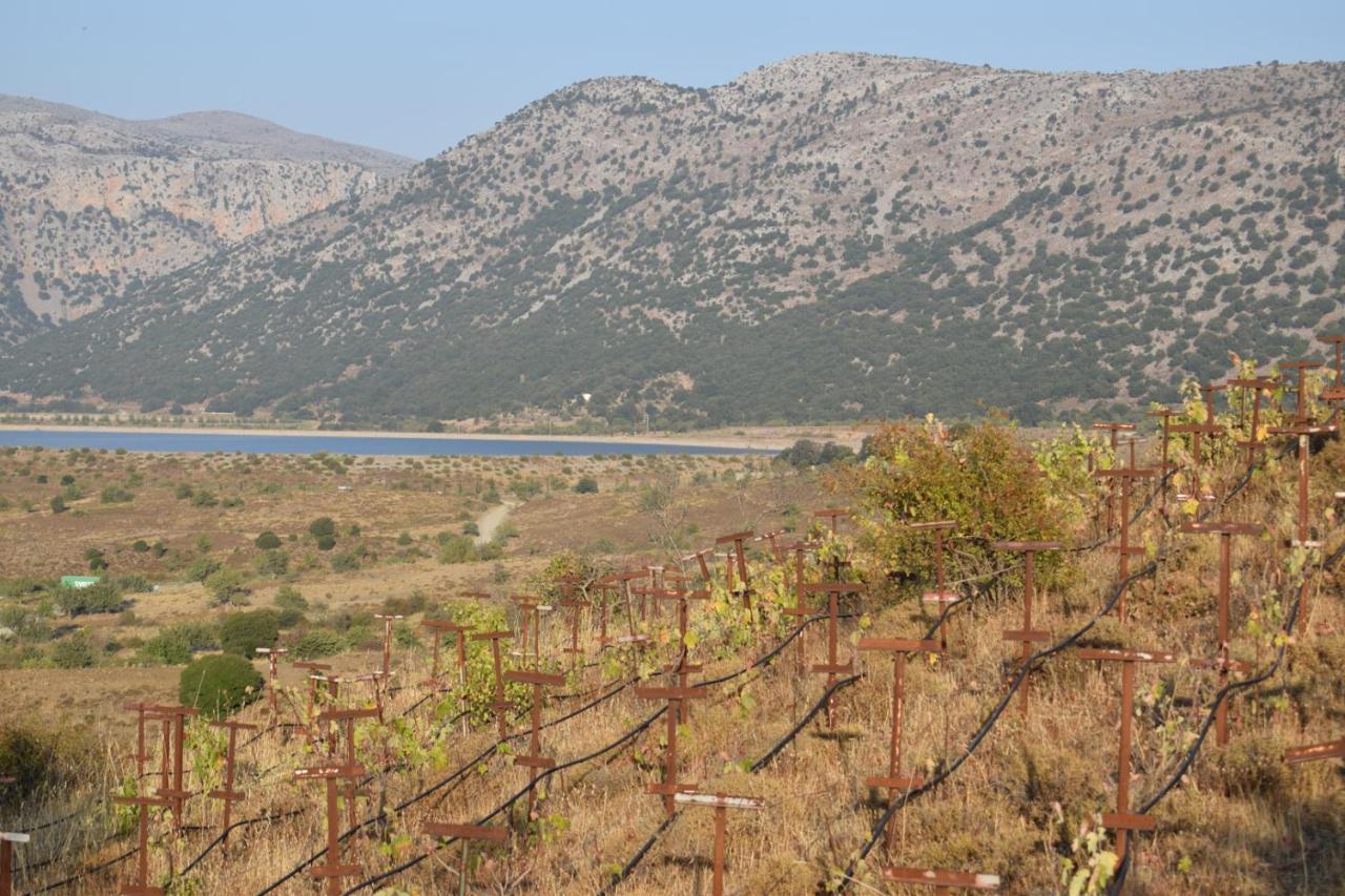 Lasinthos Eco Park Agios Georgios  Bagian luar foto